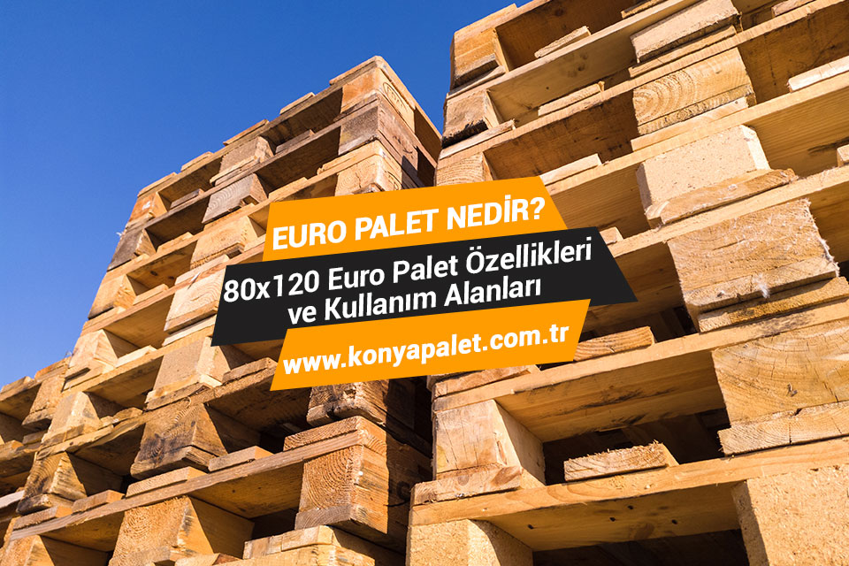 Euro Palet Nedir? 80x120 Euro Palet Özellikleri ve Kullanım Alanları